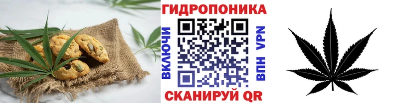 купить   Солнечногорск  KRAKEN tor  Печенье с ТГК марихуана 
