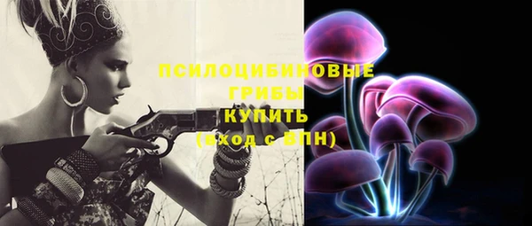 шишки Белоозёрский