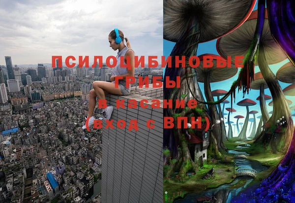 стаф Белокуриха