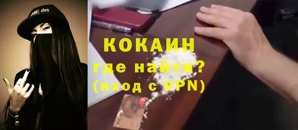 шишки Белоозёрский