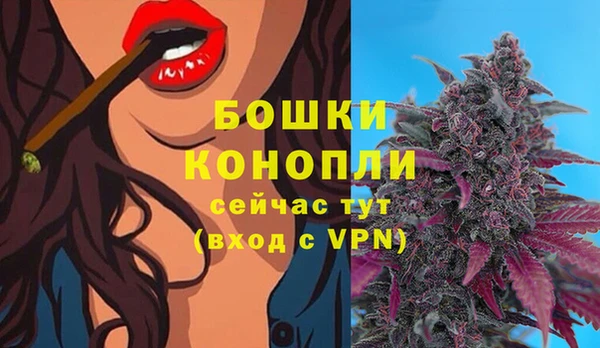 шишки Белоозёрский
