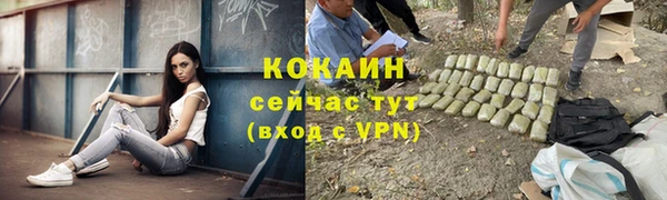 стаф Белокуриха