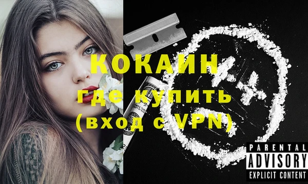 стаф Белокуриха