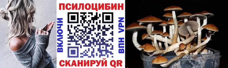 закладка Солнечногорск Псилоцибиновые грибы мицелий