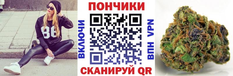 где продают   Солнечногорск  Конопля OG Kush 